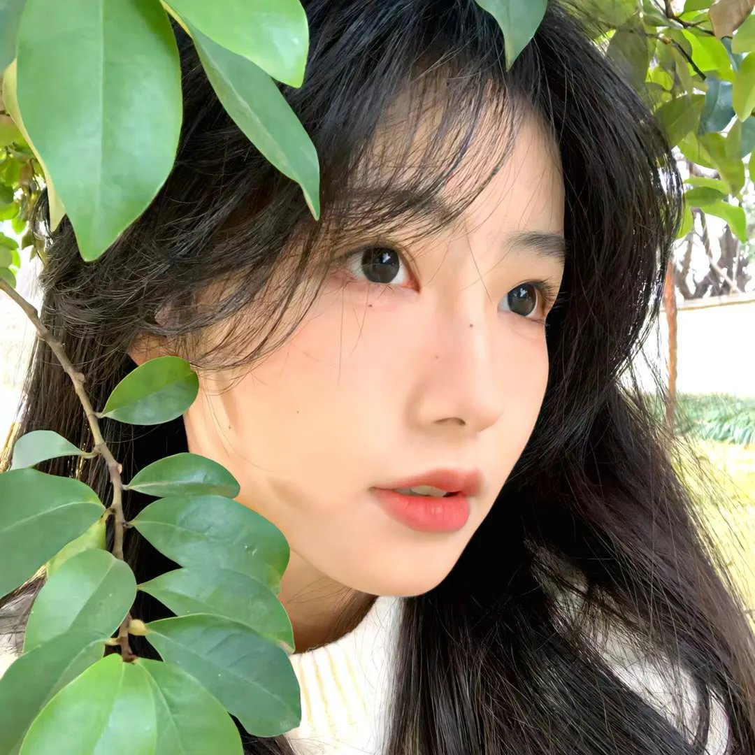 再见少女时代